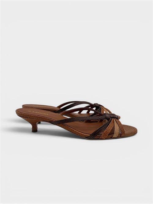  IL LACCIO | 1743LIZARDMULTI